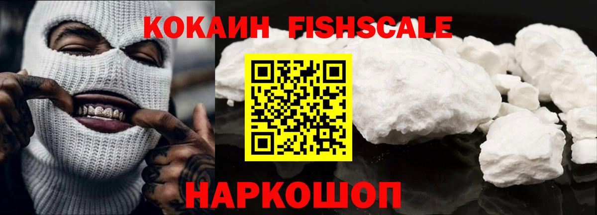 Кимовск  Cocaine Fish Scale  Вход с VPN 